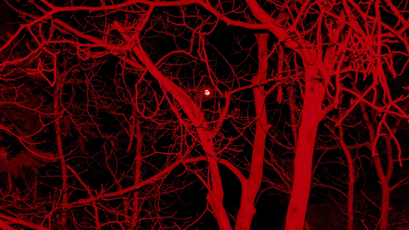 Impresión fotográfica Luna Roja